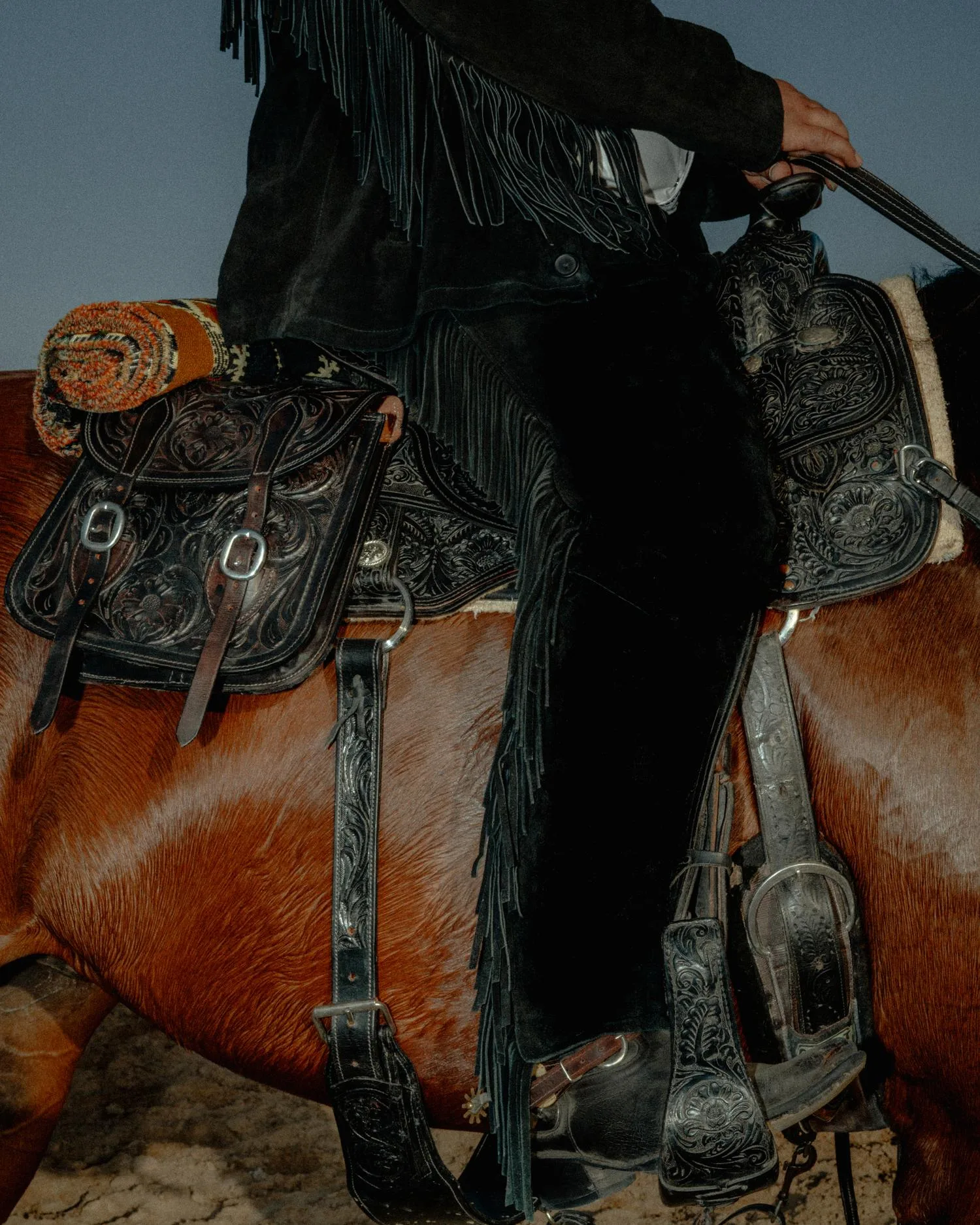 bahraini cowboys, photograph 13