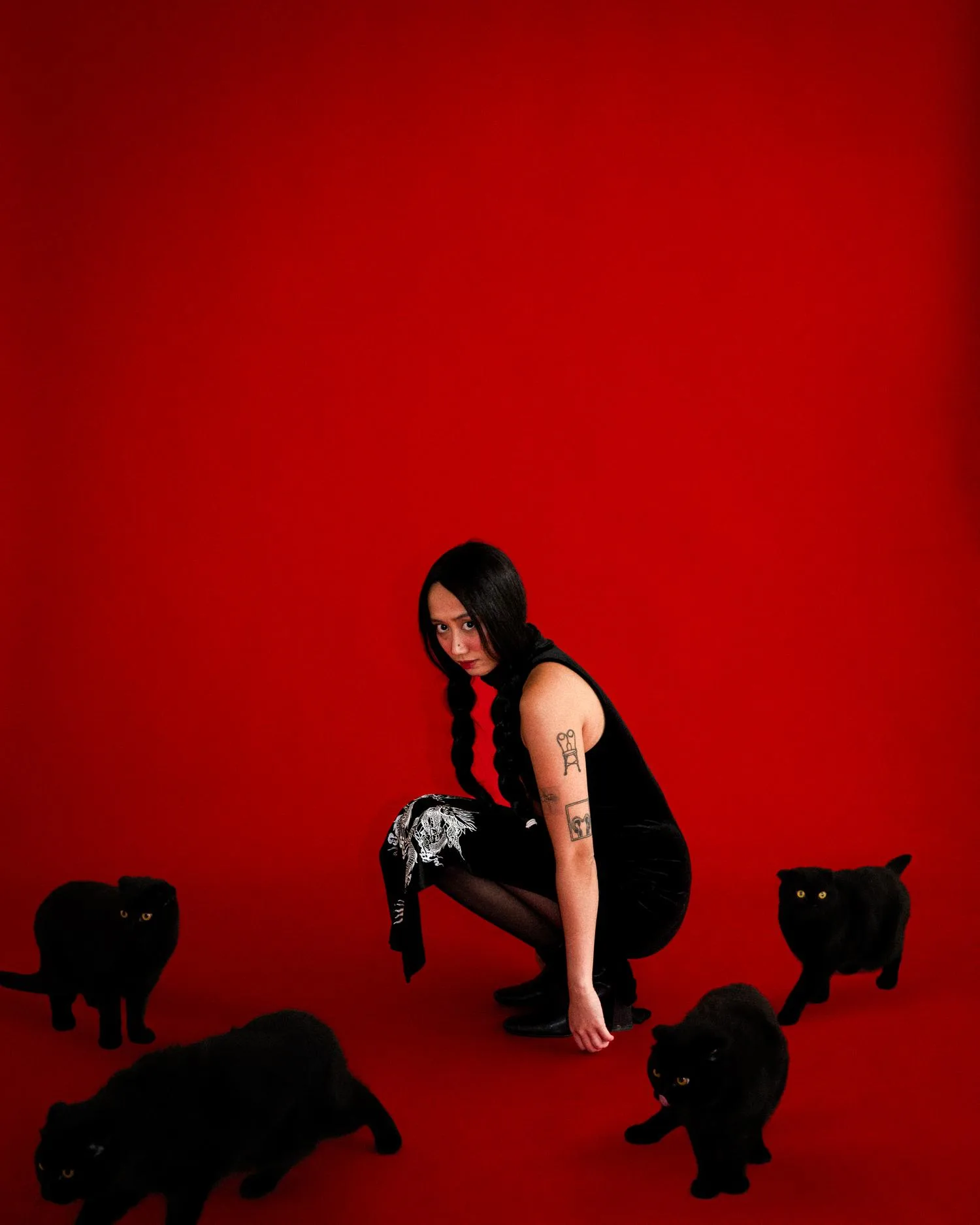 commissioned, photograph 1