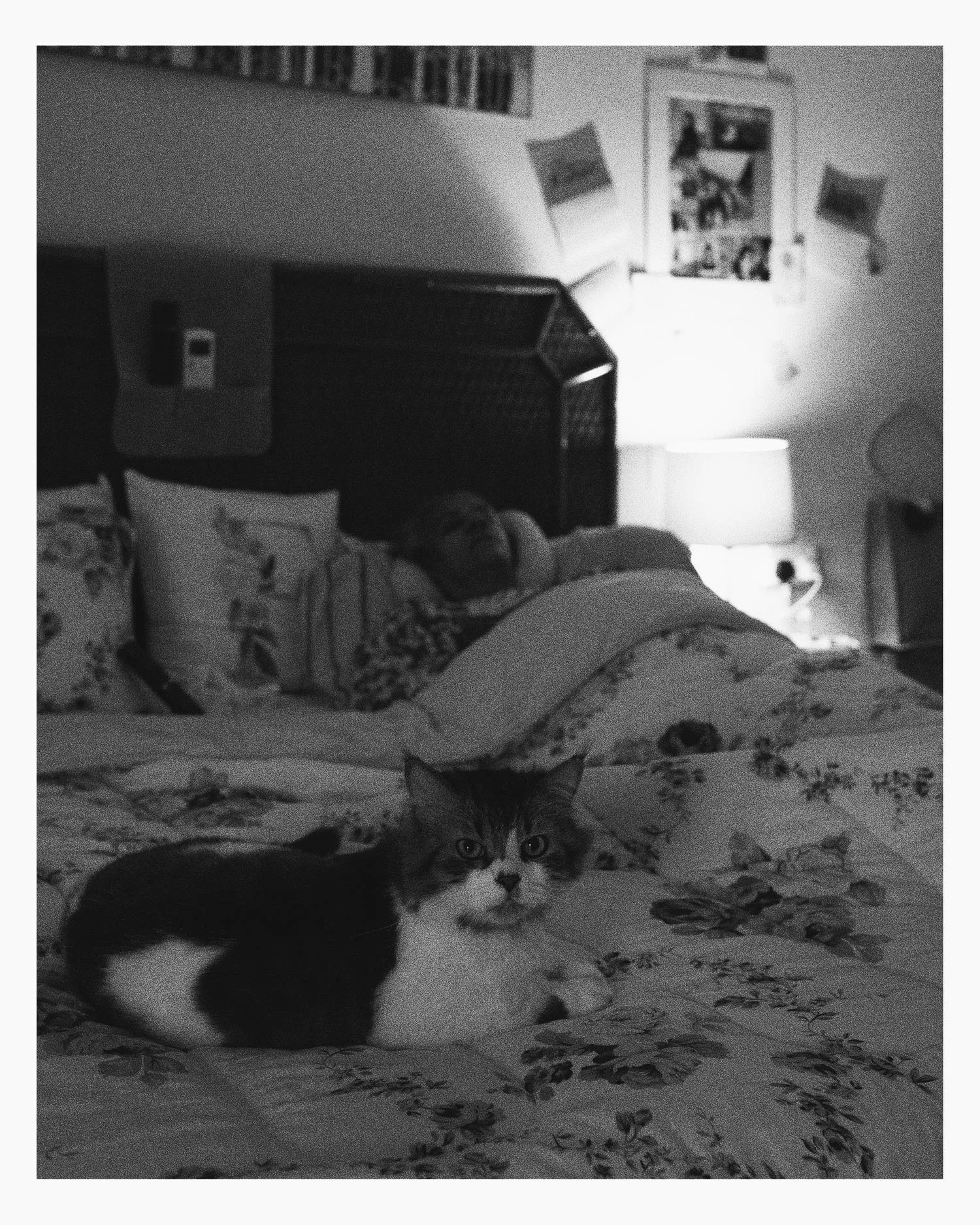 don’t go where i can’t follow, photograph 5