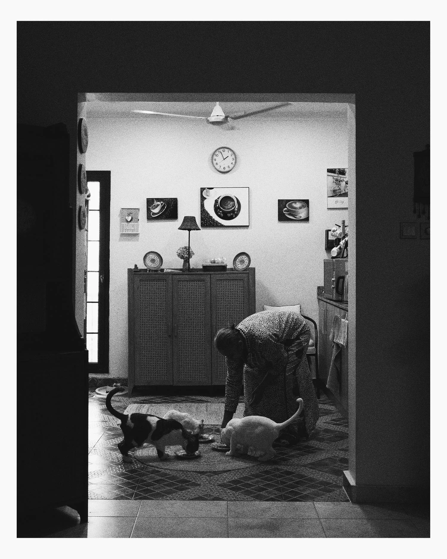 don’t go where i can’t follow, photograph 9