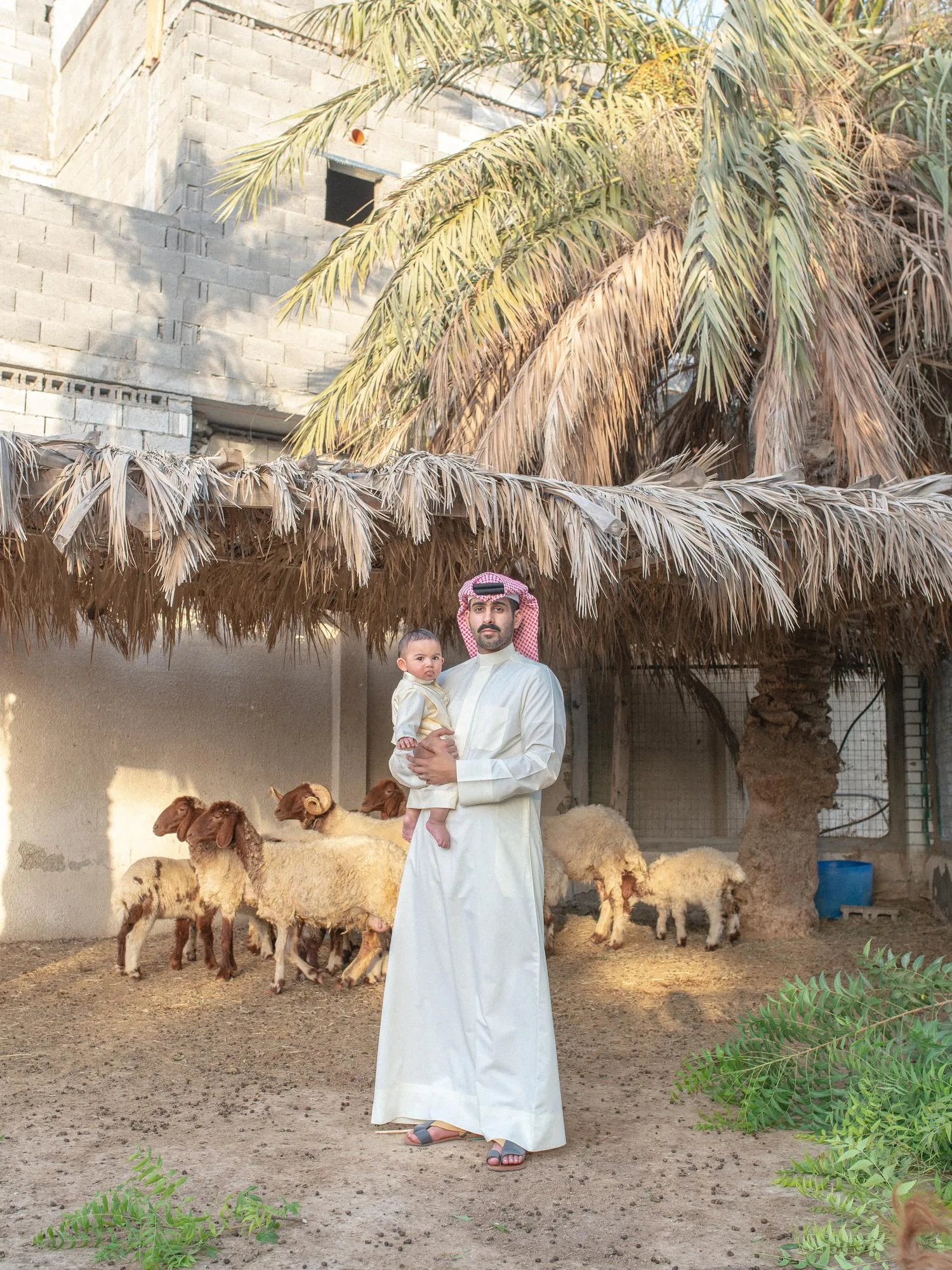 middle east to the www., photograph 2