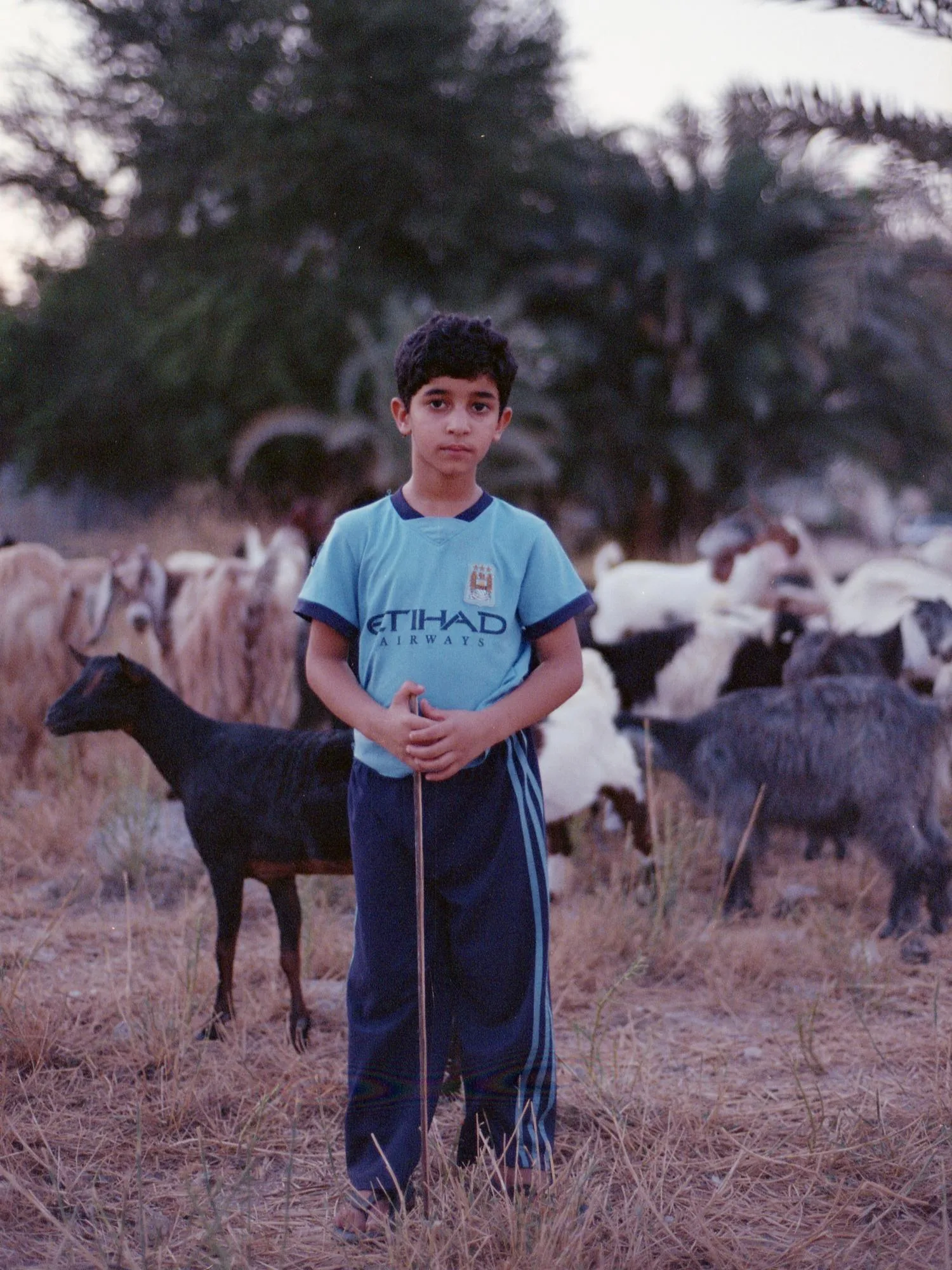 middle east to the www., photograph 8