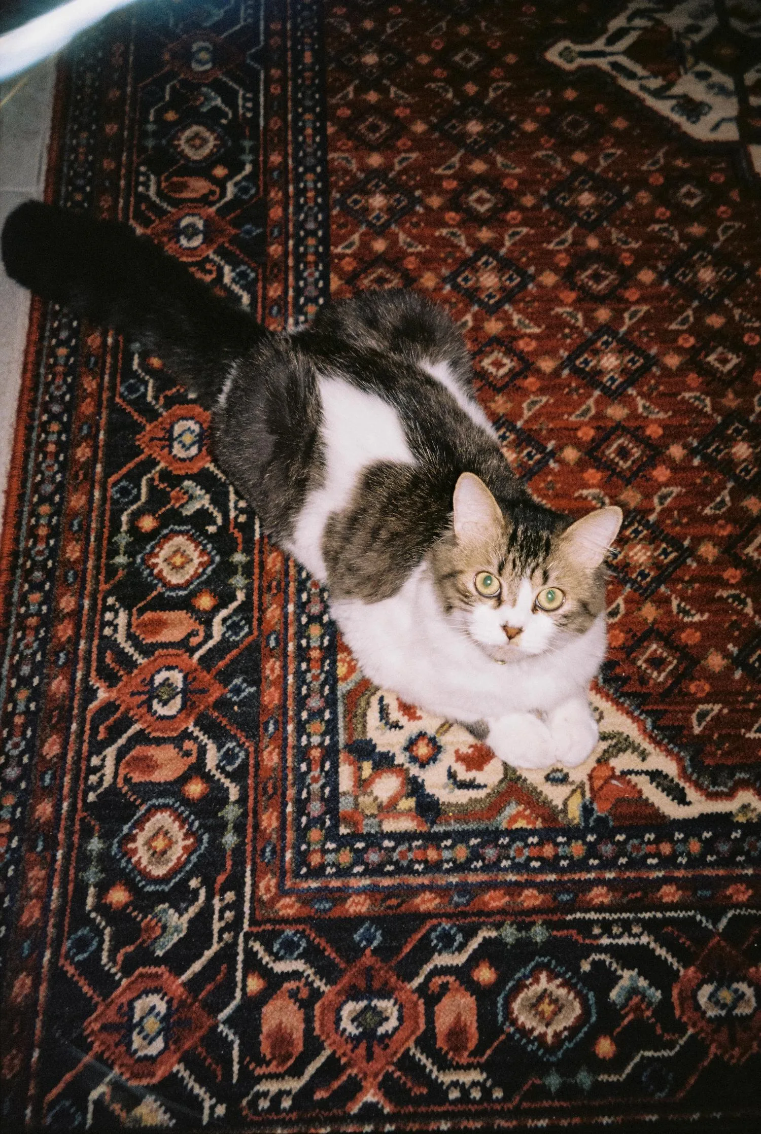 personal, photograph 27