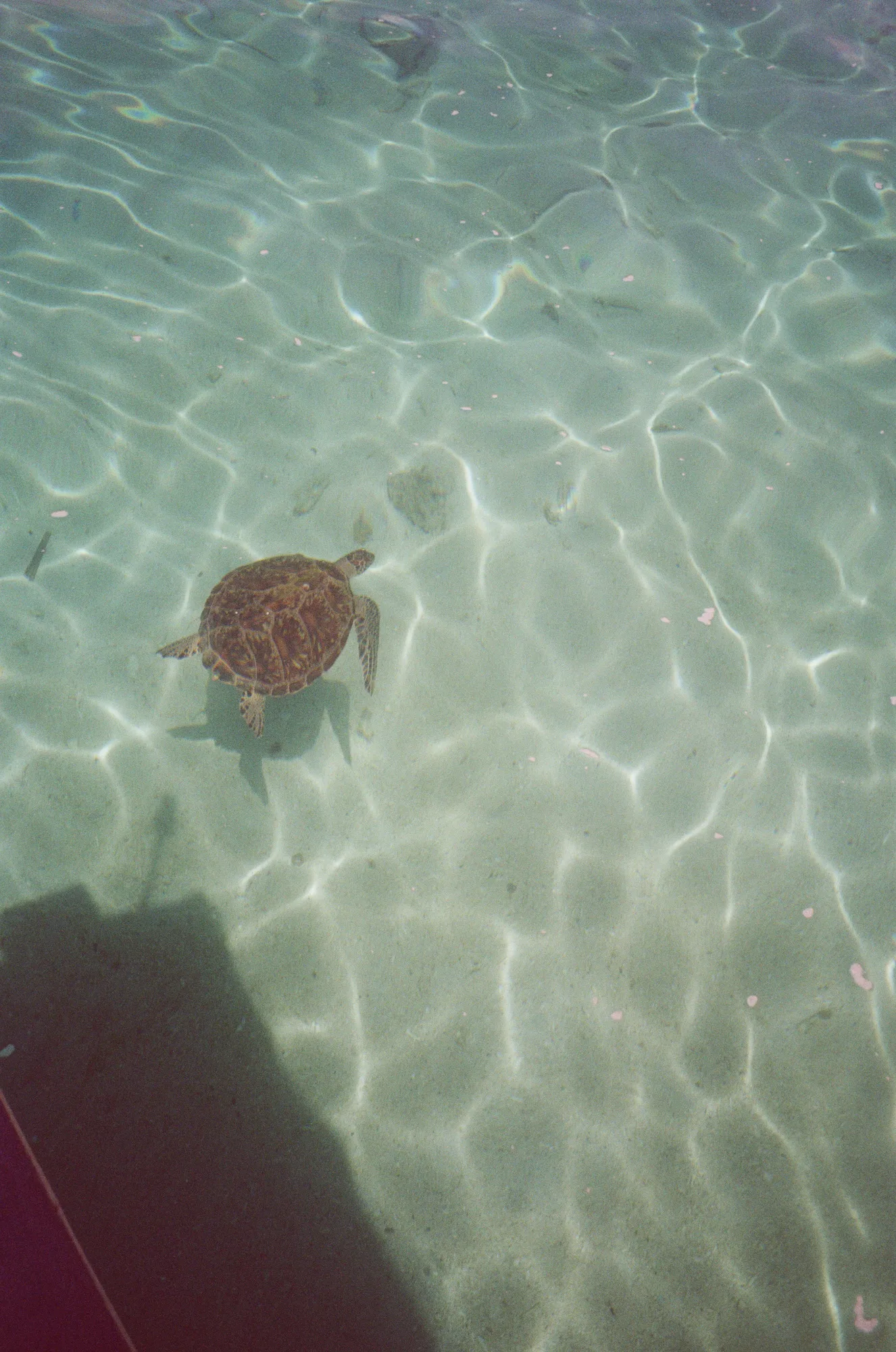 personal, photograph 40